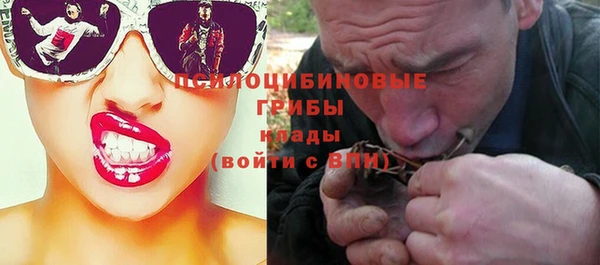 apvp Мегион