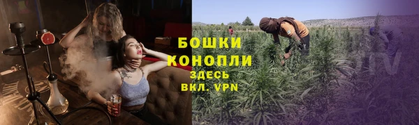apvp Мегион