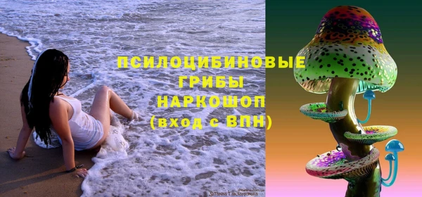 спиды Медвежьегорск