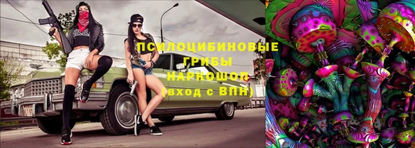 спиды Медвежьегорск