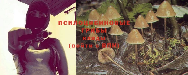 спиды Медвежьегорск